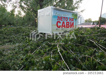 Aftermath of the hurricane July 19, 2023 beach Sremska Mitrovica, Serbia. Broken trees, mess on the street. Broken branches, bent trunks. Chips and trash. State of emergency after a catastrophic storm Aftermath of the hurricane July 19, 2023 beach Sremska Mitrovica, Serbia. Broken trees, mess on the street. Broken branches, bent trunks. Chips and trash. State of emergency after a catastrophic storm 105151661