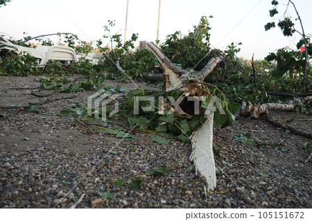Aftermath of the hurricane July 19, 2023 beach Sremska Mitrovica, Serbia. Broken trees, mess on the streets. Broken branches, bent trunk. Chips and trash. State of emergency after a catastrophic storm Aftermath of the hurricane July 19, 2023 beach Sremska Mitrovica, Serbia. Broken trees, mess on the streets. Broken branches, bent trunk. Chips and trash. State of emergency after a catastrophic storm 105151672