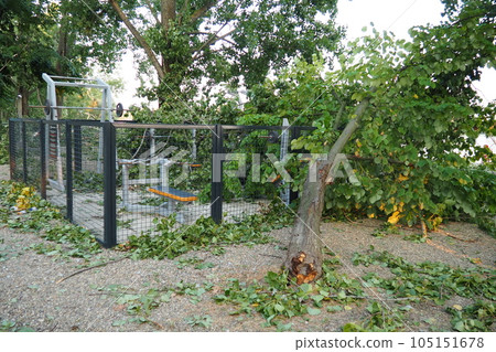 Aftermath of the hurricane July 19, 2023 beach Sremska Mitrovica, Serbia. Broken trees, mess on the streets. Broken branches, bent trunk. Chips and trash. State of emergency after a catastrophic storm Aftermath of the hurricane July 19, 2023 beach Sremska Mitrovica, Serbia. Broken trees, mess on the streets. Broken branches, bent trunk. Chips and trash. State of emergency after a catastrophic storm 105151678