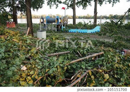 Aftermath of the hurricane July 19, 2023 beach Sremska Mitrovica, Serbia. Broken trees, mess on the streets. Broken branches, bent trunk. Chips and trash. State of emergency after a catastrophic storm Aftermath of the hurricane July 19, 2023 beach Sremska Mitrovica, Serbia. Broken trees, mess on the streets. Broken branches, bent trunk. Chips and trash. State of emergency after a catastrophic storm 105151700