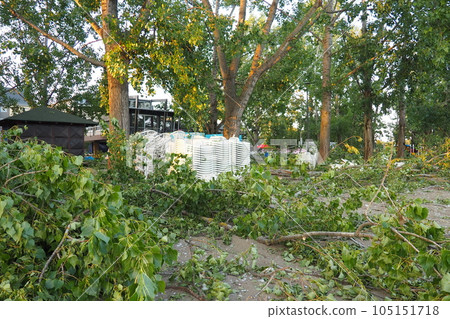 Aftermath of the hurricane July 19, 2023 beach Sremska Mitrovica, Serbia. Broken trees, mess on the streets. Broken branches, bent trunk. Chips and trash. State of emergency after a catastrophic storm Aftermath of the hurricane July 19, 2023 beach Sremska Mitrovica, Serbia. Broken trees, mess on the streets. Broken branches, bent trunk. Chips and trash. State of emergency after a catastrophic storm 105151718