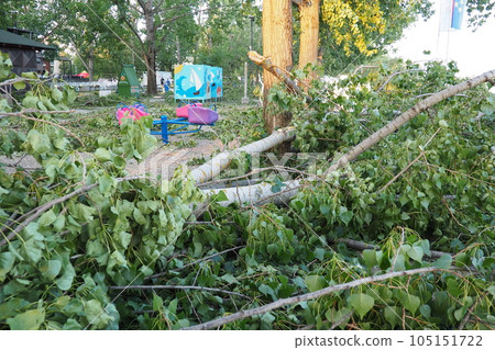 Aftermath of the hurricane July 19, 2023 beach Sremska Mitrovica, Serbia. Broken trees, mess on the streets. Broken branches, bent trunk. Playground. State of emergency after a catastrophic storm 105151722