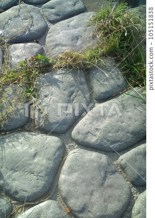 海岸上的鵝卵石 105151838