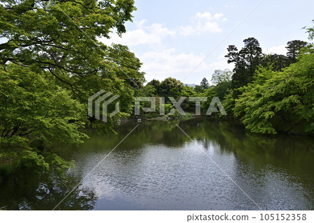京都仙洞 御所 北池如院 御所池塘 神綠 105152358
