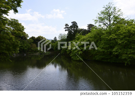 京都仙洞 御所 北池如院 御所池塘 神綠 105152359