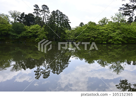 京都仙洞 御所 北池如院 御所池塘 神綠 京都仙洞 御所 北池如院 御所池塘 神綠 105152365
