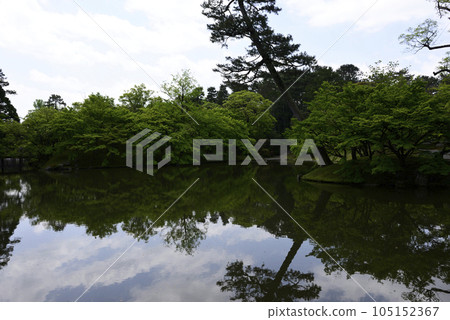 Kyoto Sento Imperial Palace Kitaike Nyoin Imperial Palace Pond Shinryoku 105152367