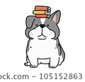 法國鬥牛犬拿著一本書 105152863
