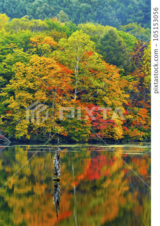 Mirror pond 105153056