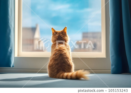 Cat looking out the window 3 AI-generated image 105153243