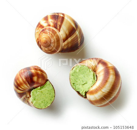escargot snail stuffed with garlic and parsley butter escargot snail stuffed with garlic and parsley butter 105153648