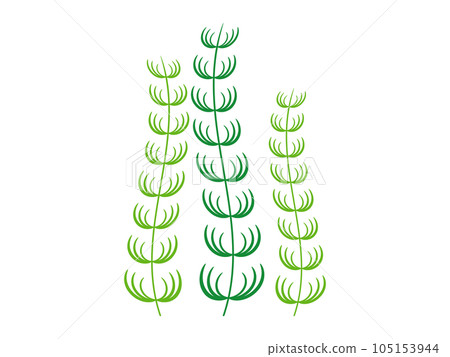 goldfish algae icon goldfish algae icon 105153944