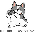 法國鬥牛犬看著相機 105154192