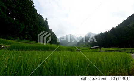 日本心臟地帶四谷的千枚田 日本心臟地帶四谷的千枚田 105154611