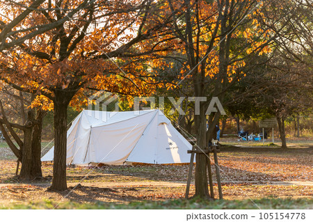 Scenery of the autumn campsite Scenery of the autumn campsite 105154778