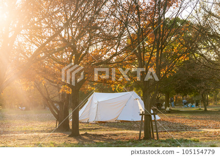Scenery of the autumn campsite Scenery of the autumn campsite 105154779