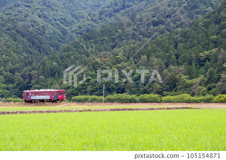 Vehicles of the Nagaragawa Railway passing by rice fields after rice planting Vehicles of the Nagaragawa Railway passing by rice fields after rice planting 105154871