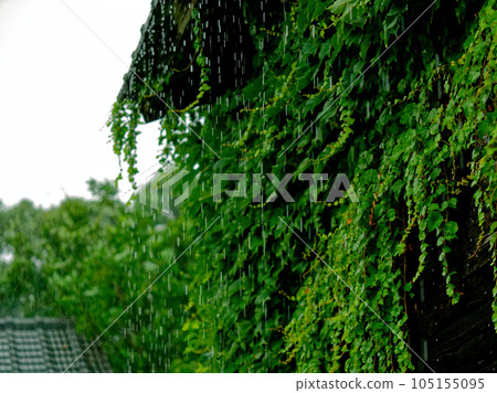 雷雨交加，避雨 105155095