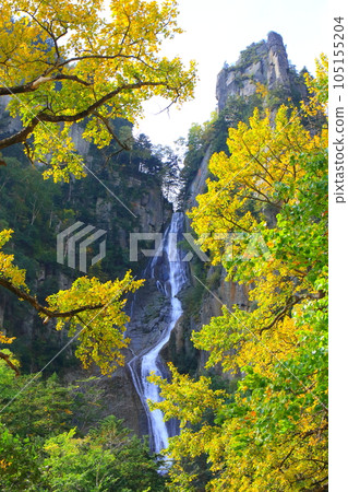 秋天的銀河瀑布（層雲峽、大雪山國立公園） 105155204