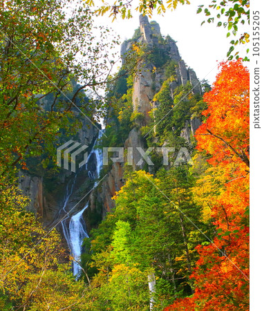 秋天的銀河瀑布（層雲峽、大雪山國立公園） 105155205