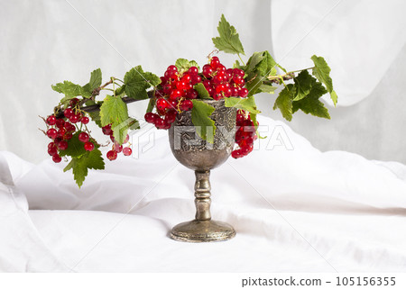 Red currant berries in a silver glass on a white background. Classic still life with berries. Red currant berries in a silver glass on a white background. Classic still life with berries. 105156355