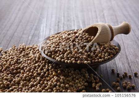 即將挖出香菜籽 即將挖出香菜籽 105156576