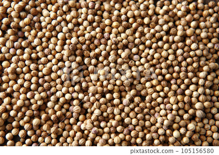 整個表面芫荽籽 105156580