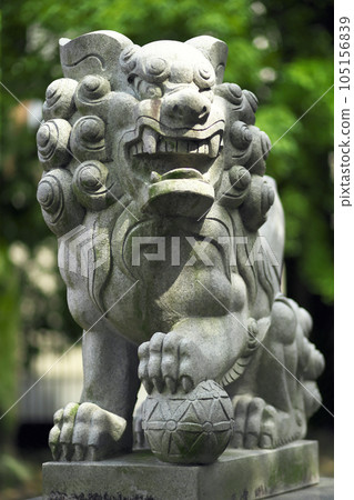 Komainu at Kikuinari Shrine, Shinmachi, Takasaki City Komainu at Kikuinari Shrine, Shinmachi, Takasaki City 105156839
