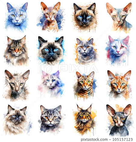 Set of cats of various breeds painted in watercolor on a white background in a realistic manner, colorful, rainbow. 105157123