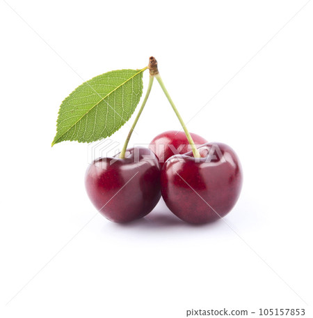 Sweet cherry with leaves on white backgrounds Sweet cherry with leaves on white backgrounds 105157853