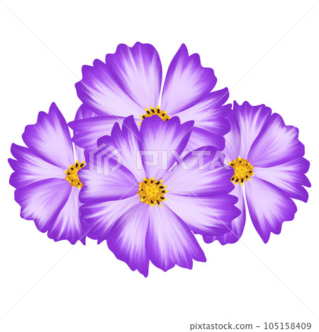 Flowers Color Nature 105158409