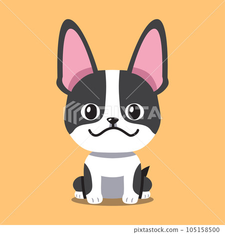Cartoon a boston terrier dog Cartoon a boston terrier dog 105158500