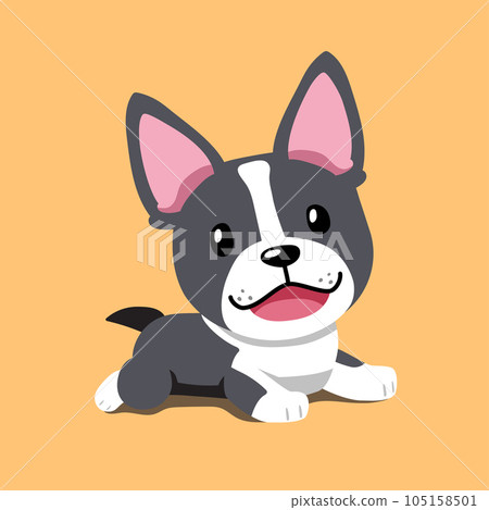 Cartoon a cute boston terrier dog Cartoon a cute boston terrier dog 105158501