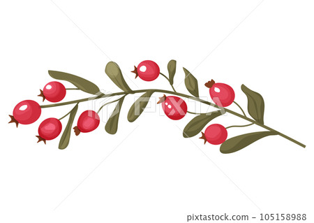 Rose hip forest berries on branch red and raw in cartoon style autumn decoration isolated on white background. Fall cozy element 105158988