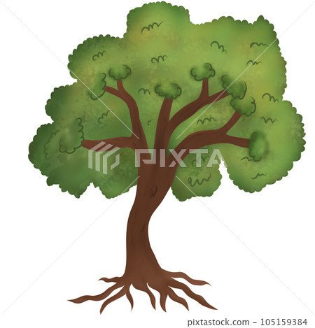 Tree Tree 105159384