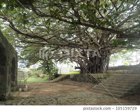 Sogen寺的Hajimaru(沖繩縣那霸市) Sogen寺的Hajimaru(沖繩縣那霸市) 105159729