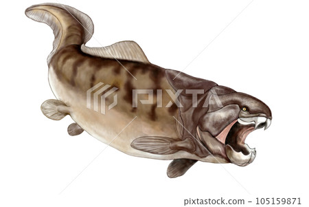Dunkleoteus 可怕的硬骨魚,其尾巴形狀仍未知 Dunkleoteus 可怕的硬骨魚,其尾巴形狀仍未知 105159871