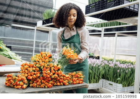 Cute attractive african girl in green apron holding bouquet of orange tulips indoors in greenhouse. 105159998