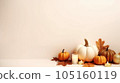 halloween with pumpkin background, background with pumpkin, halloween with copy space background 105160119