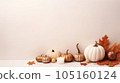 halloween with pumpkin background, background with pumpkin, halloween with copy space background 105160124