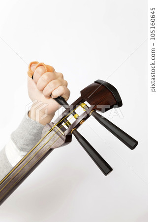 Elementary school girl tuning the shamisen Tuning Elementary school girl tuning the shamisen Tuning 105160645