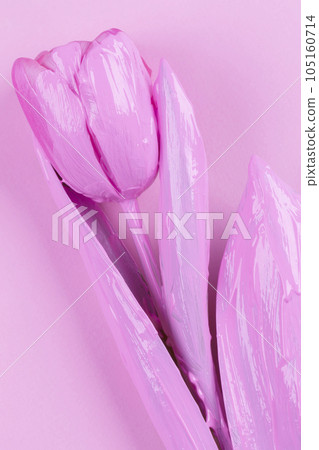 Pink tulip on a pink background. Flower minimalist. 105160714