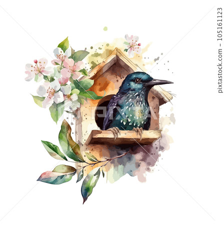 Watercolor beautiful starling in the birdhouse. Vector illustration Watercolor beautiful starling in the birdhouse. Vector illustration 105161123