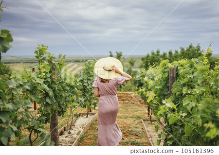 Woman, wearing a hat, in a vineyard in the sun Woman, wearing a hat, in a vineyard in the sun 105161396