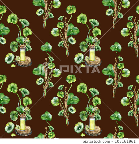 Centella asiatica, essential oils on wooden stand watercolor seamless pattern isolated on dark. Pennywort, herbal plants on wooden branch hand drawn. Design element for package, background, wrapping 105161961
