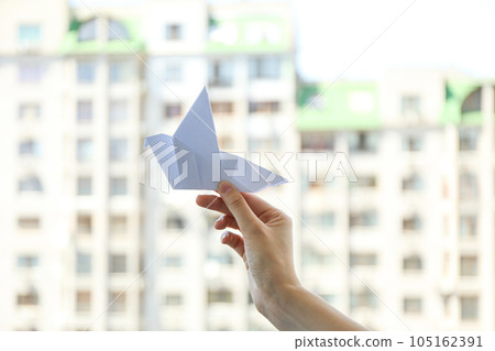 International day of peace or world peace day, symbol of peace - pigeon International day of peace or world peace day, symbol of peace - pigeon 105162391