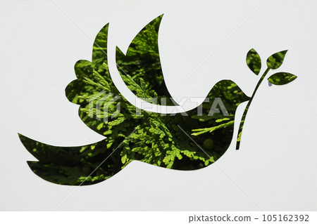 International day of peace or world peace day, symbol of peace - pigeon 105162392