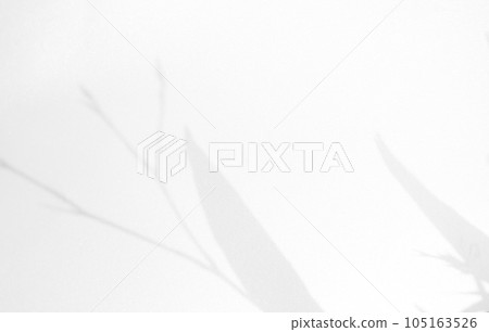 Abstract Shadow Leaves on Wall Floor Cement Background,Texture Overlay Sun Light Silhouette Nature Leaf from Window Interior Room Building House Concrete,Blur Backdrop Structure Marble Grey Vintage. 105163526