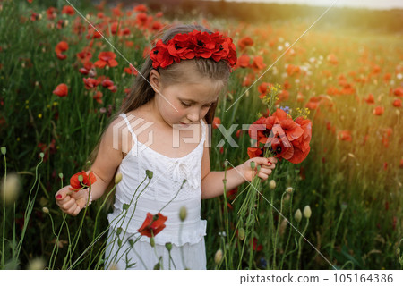 Ukrainian Beautiful girl in field of poppies and wheat. outdoor portrait in poppies. girl collecting poppies and cornflower in summer field. Ukrainian Beautiful girl in field of poppies and wheat. outdoor portrait in poppies. girl collecting poppies and cornflower in summer field. 105164386