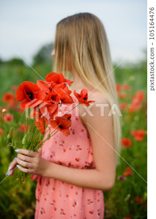 Ukrainian Beautiful girl in poppies field and wheat. outdoor portrait. Child collecting poppies and cornflower in summer field. Blooming Poppies memory symbol. no face 105164476